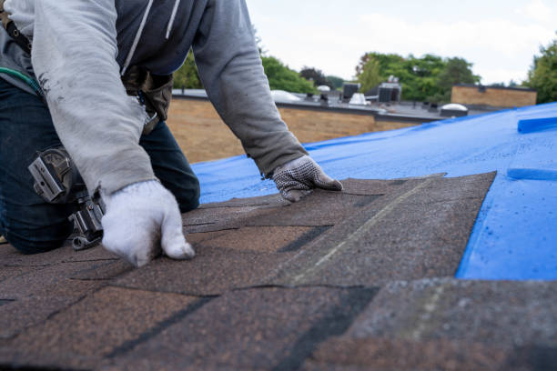 Best Roof Gutter Cleaning  in Lake Odessa, MI