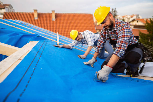 Best Emergency Roof Repair  in Lake Odessa, MI