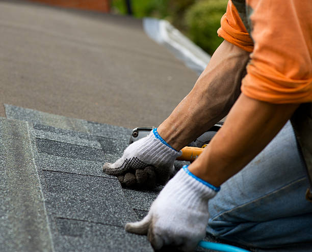 Best Commercial Roofing Services  in Lake Odessa, MI