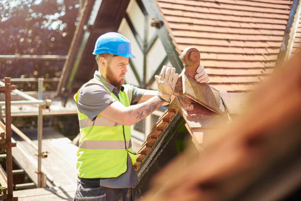 Best Roof Leak Repair  in Lake Odessa, MI