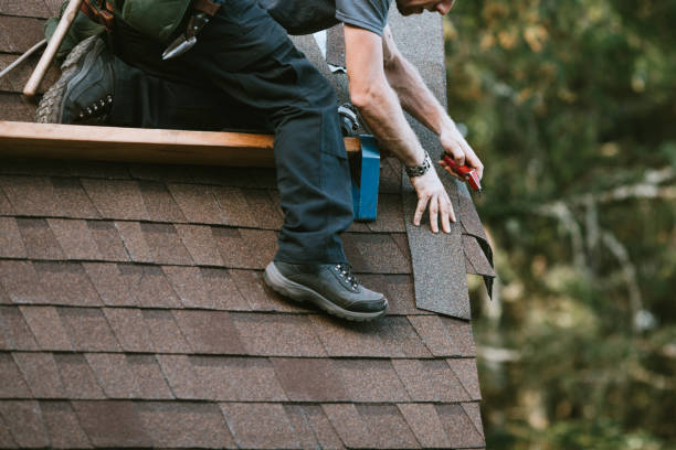 Best Commercial Roofing Services  in Lake Odessa, MI
